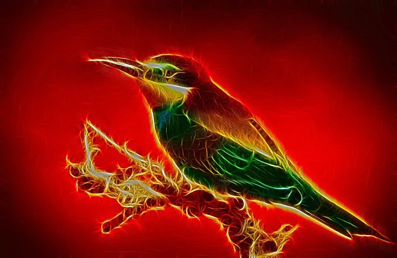 bird Animal artistic Image