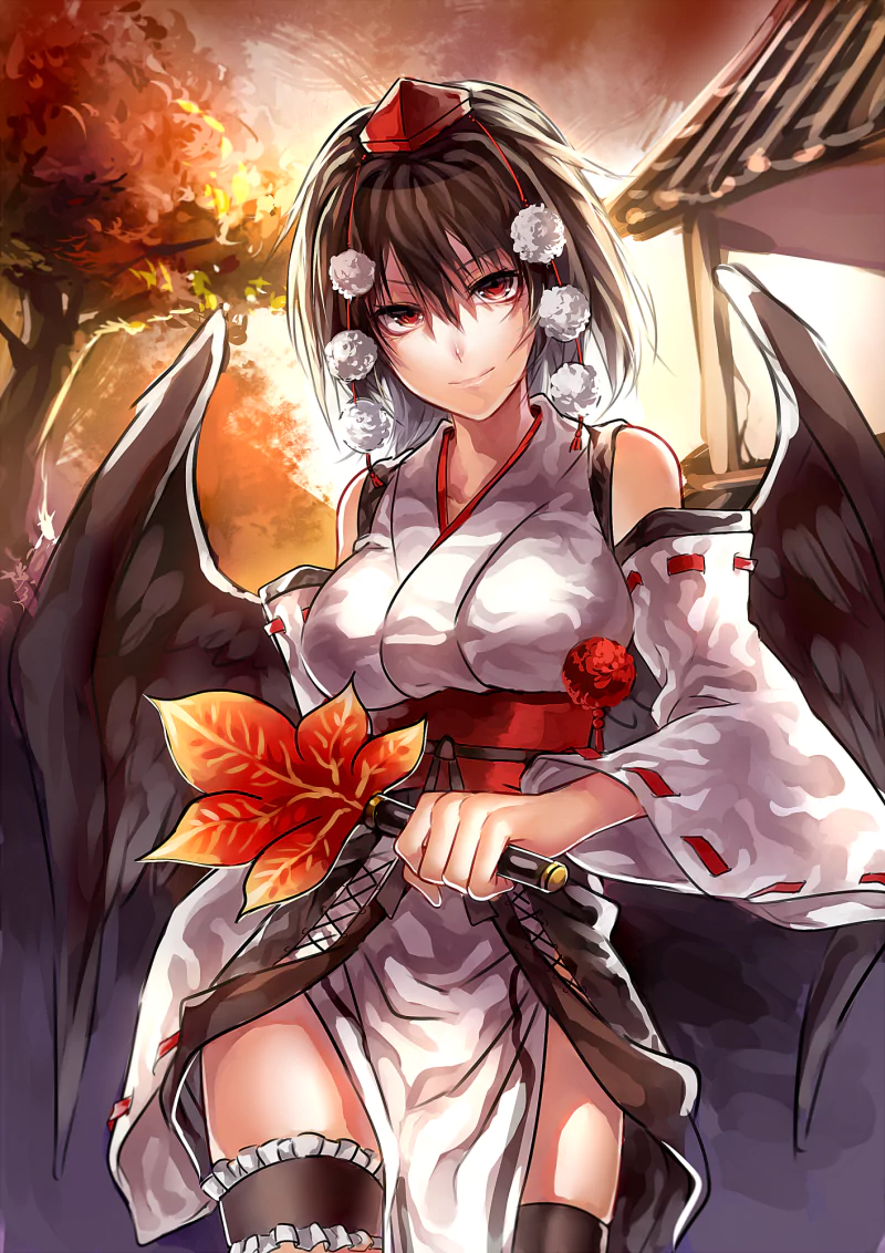 Aya Shameimaru Anime Touhou Image