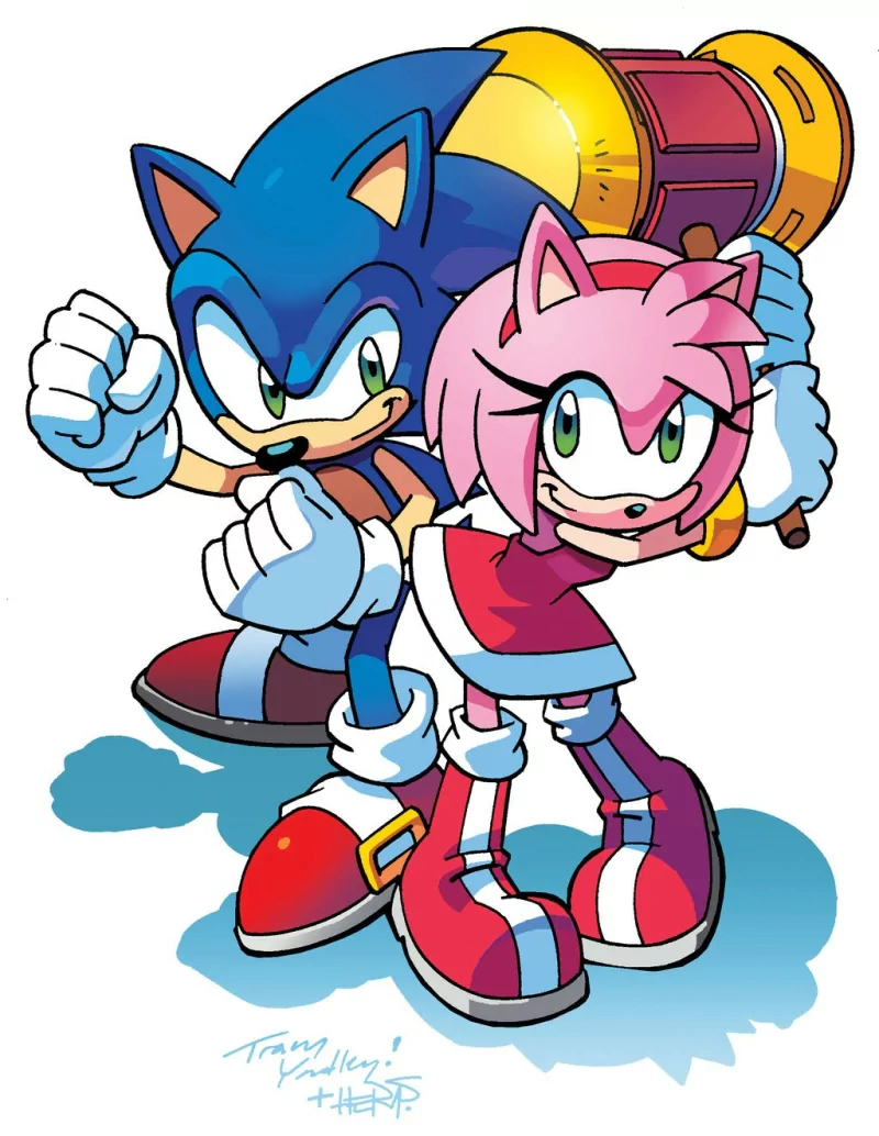 Sonic and Amy Rose by yardleyart