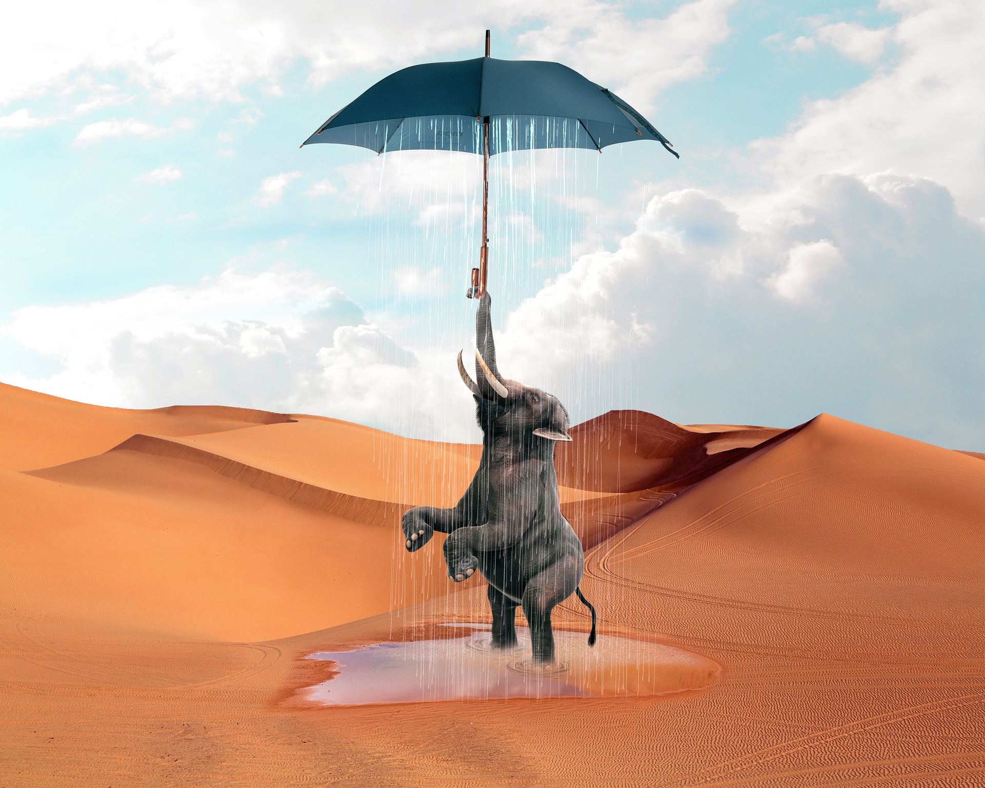 Elephant Holding an Umbrella Raining down on him in the Desert by Дмитрий Бирюков