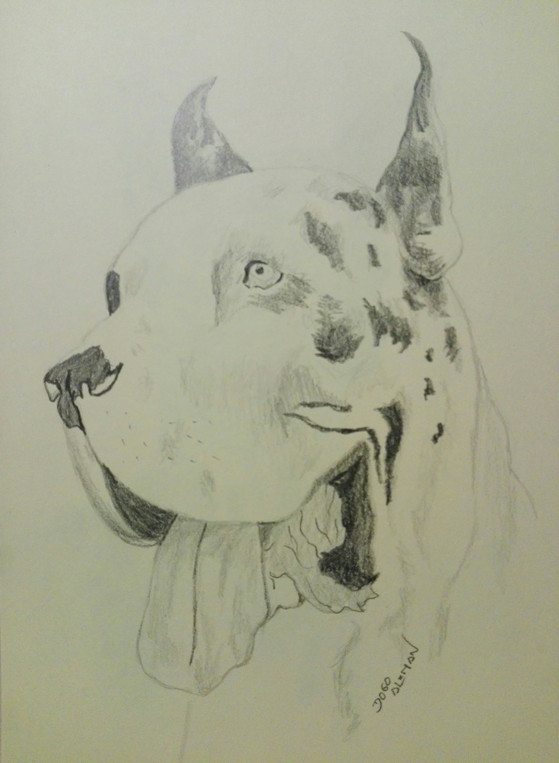 Dogo Alemán by Megami