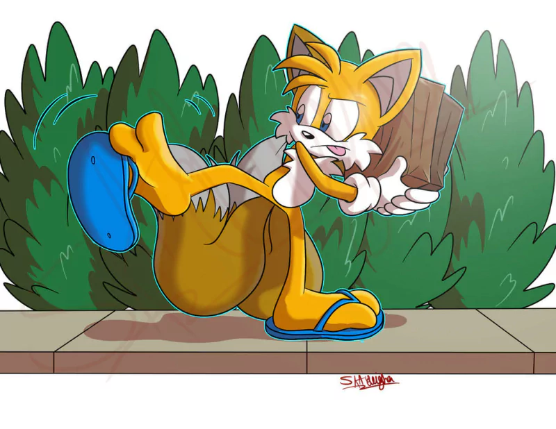 blue eyes fox sandal paw Miles 'Tails' Prower video game Sonic the Hedgehog Image