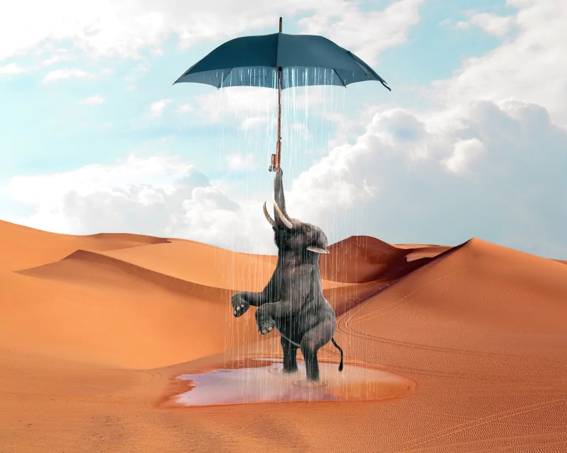  Elephant Holding an Umbrella Raining down on him in the Desert by Дмитрий Бирюков