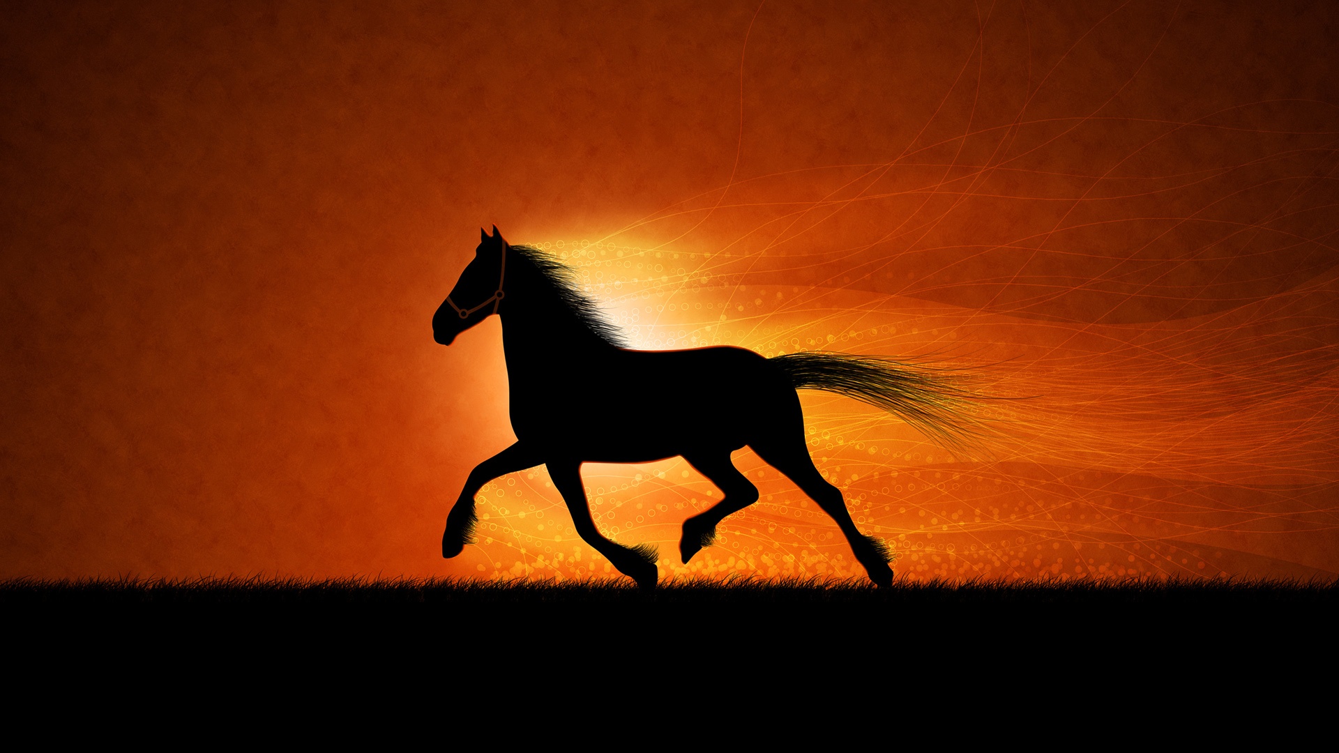 Horse Running in the Sunset