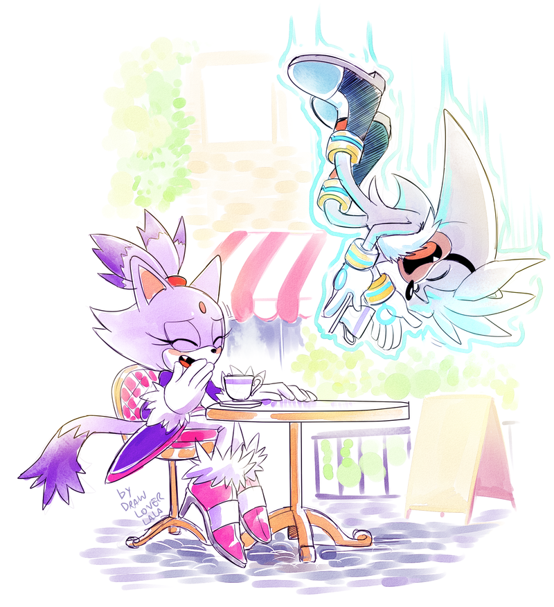 Download Cute Silver The Hedgehog Blaze The Cat Video Game Sonic The Hedgehog Art