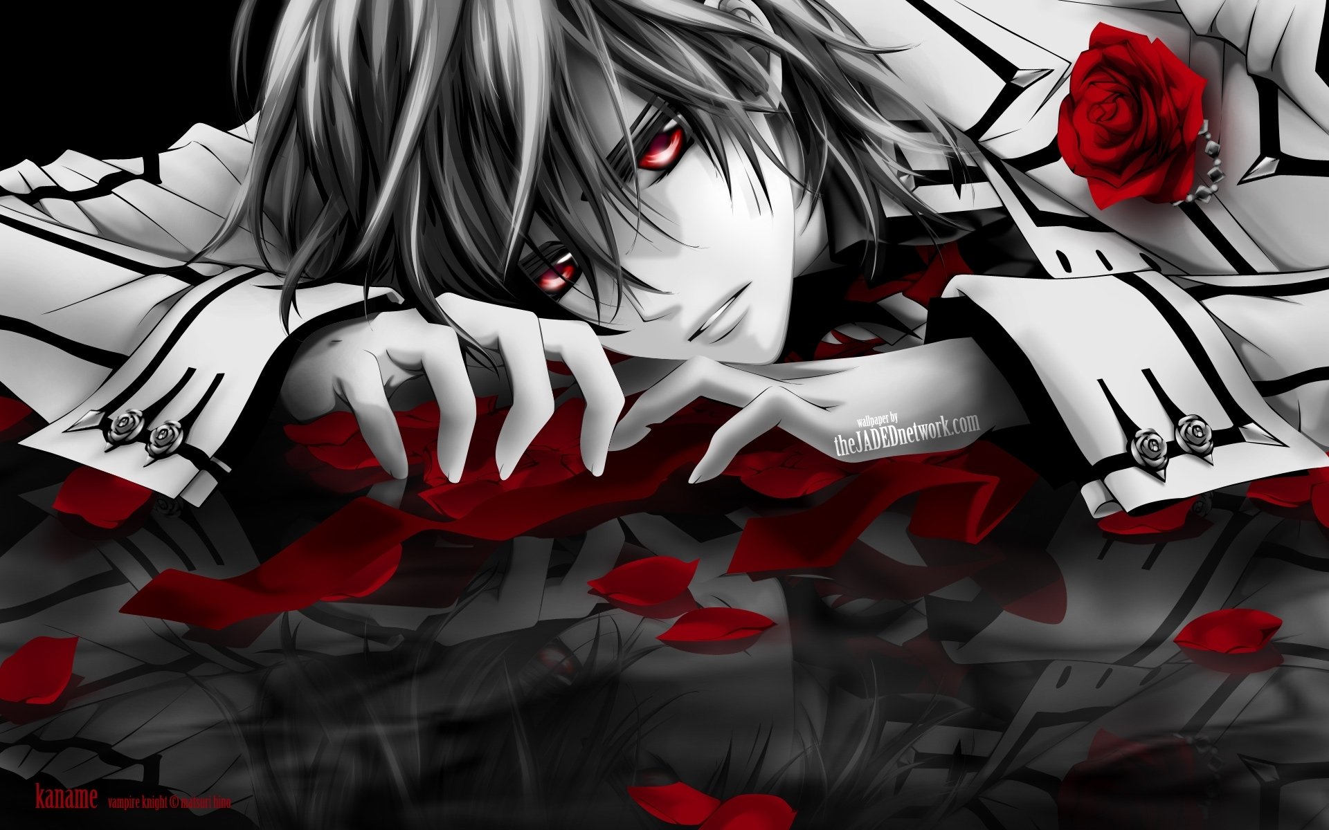 Download Red Rose Anime Vampire Knight Art