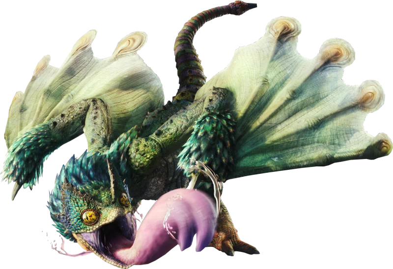  Pukei-Pukei