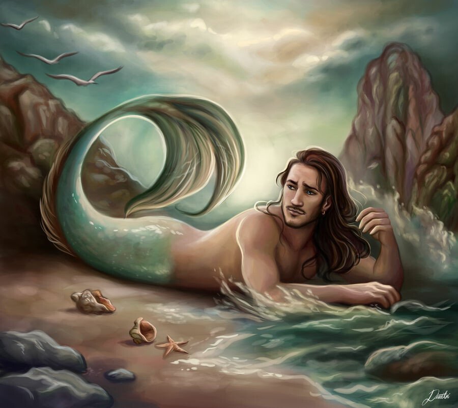 Download Seagull Starfish Tail Long Hair Merman Fantasy Mermaid Art