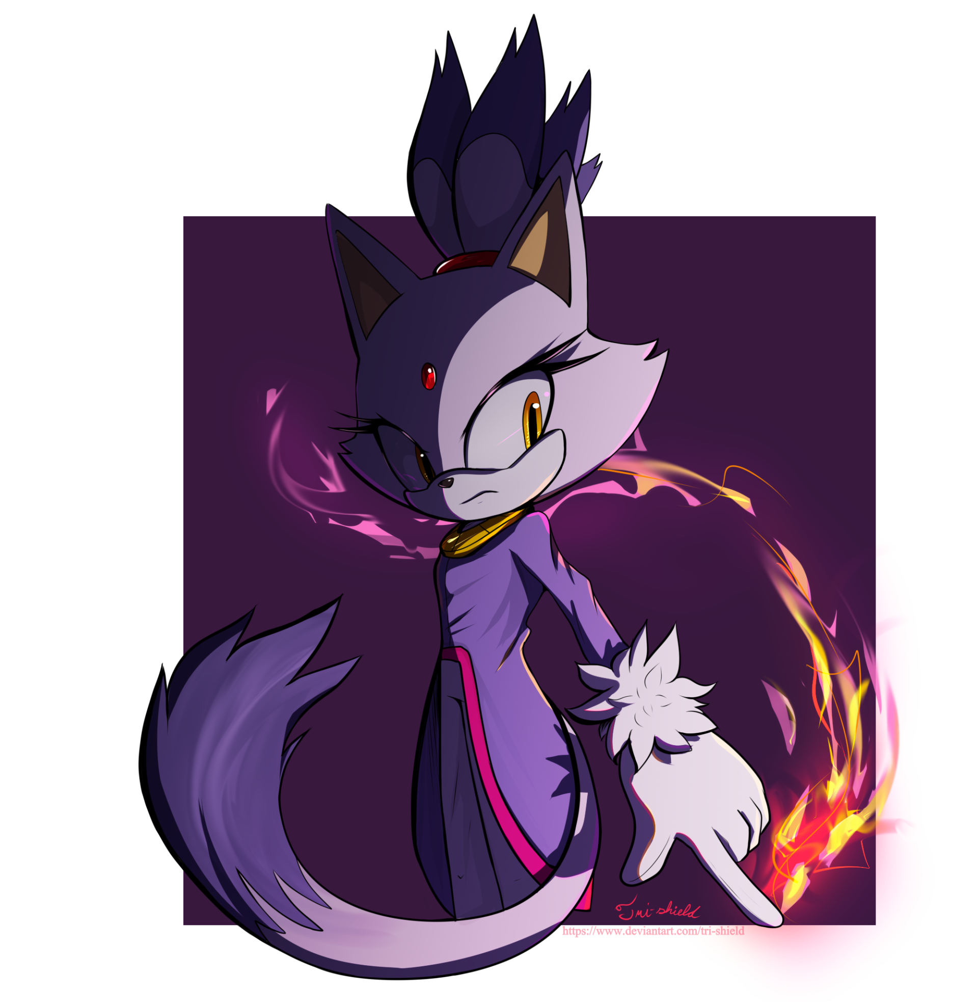 Download Tail Blaze The Cat Video Game Sonic The Hedgehog Art