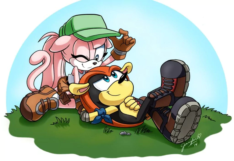 hat blue eyes smile boots Mighty the Armadillo Comic Sonic the Hedgehog Image