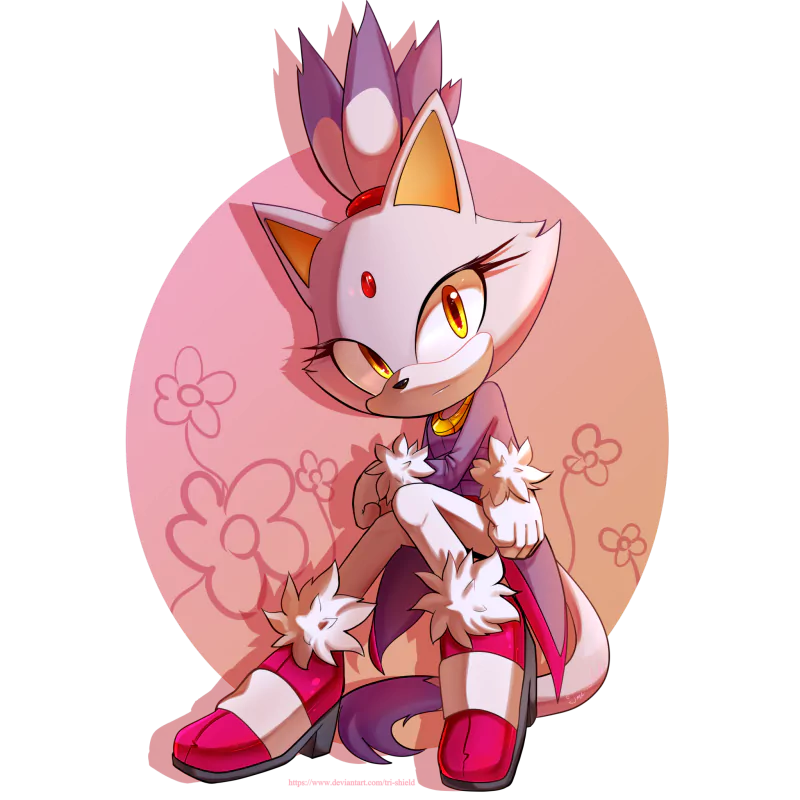 Blaze the Cat video game Sonic the Hedgehog Image