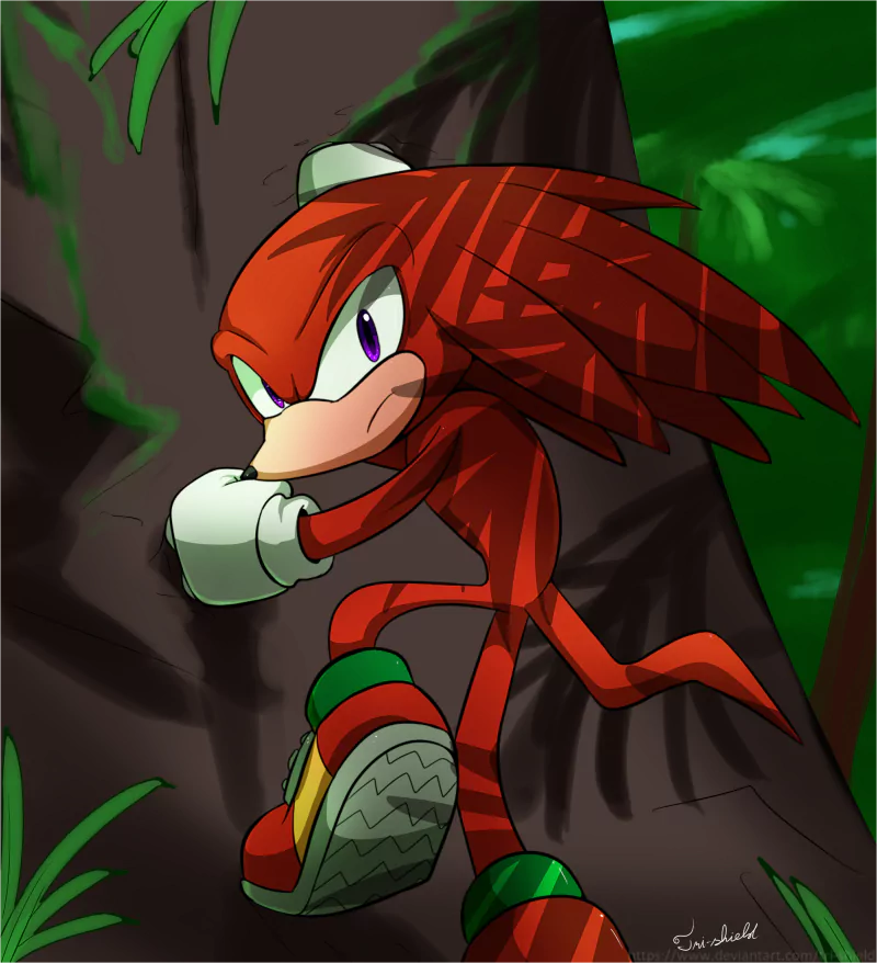 tail purple dress Knuckles the Echidna video game Sonic the Hedgehog Image