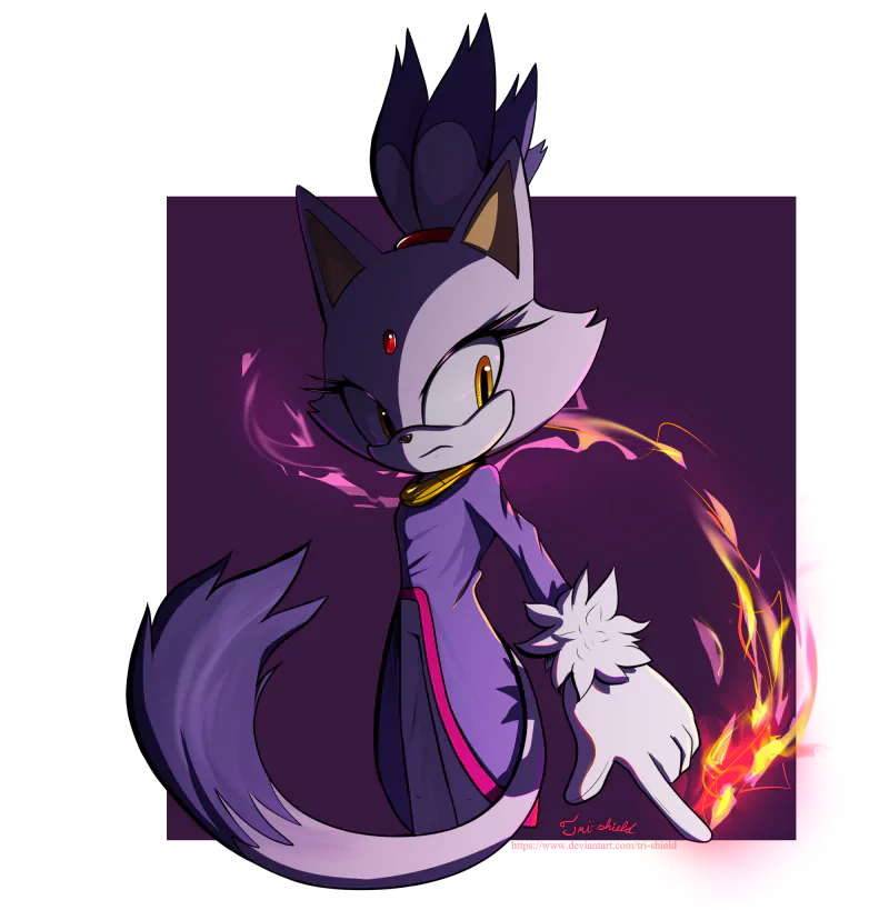 tail Blaze the Cat video game Sonic the Hedgehog Image