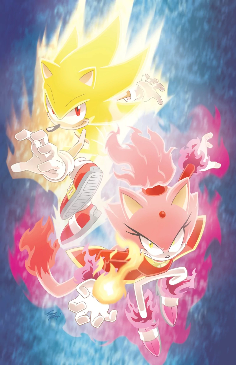Burning Blaze (Sonic the Hedgehog) Super Sonic Sonic the Hedgehog Blaze the Cat video game Sonic Rush Image