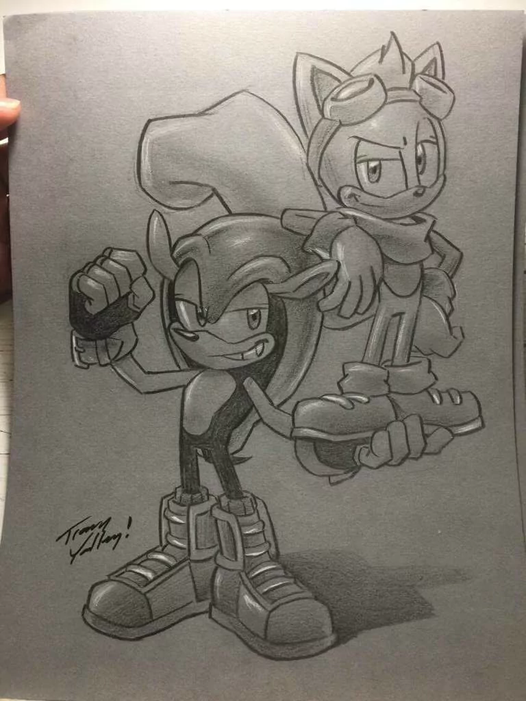 Ray the Flying Squirrel Mighty the Armadillo Comic Sonic the Hedgehog Image