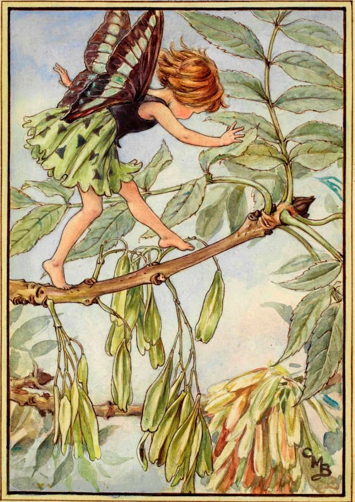 feet barefoot wings fantasy fairy Image