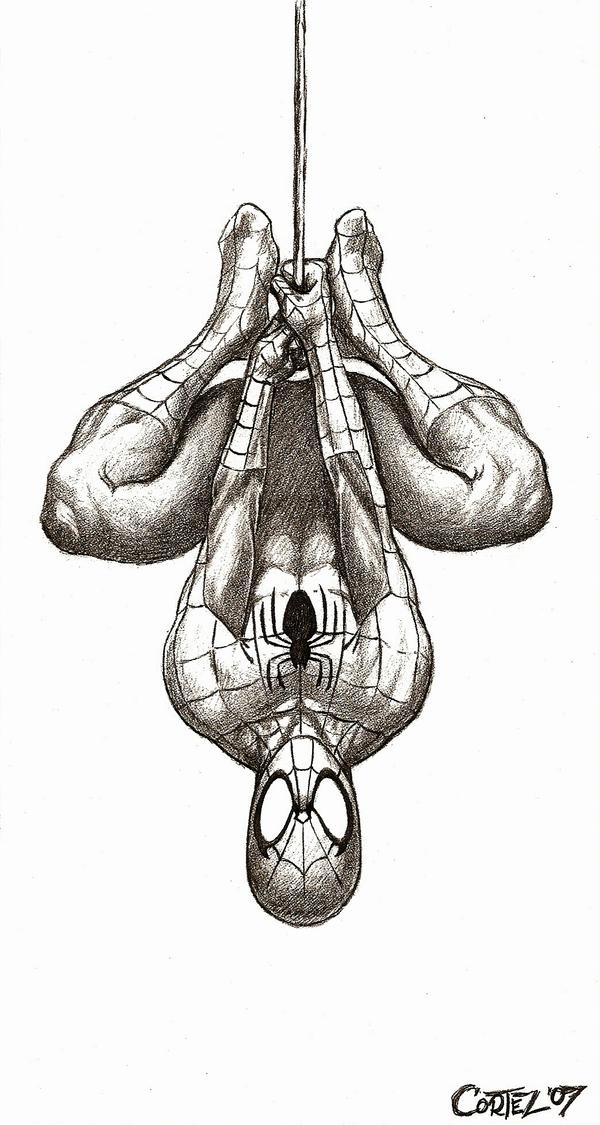 Spider-Man Art by sumo0172