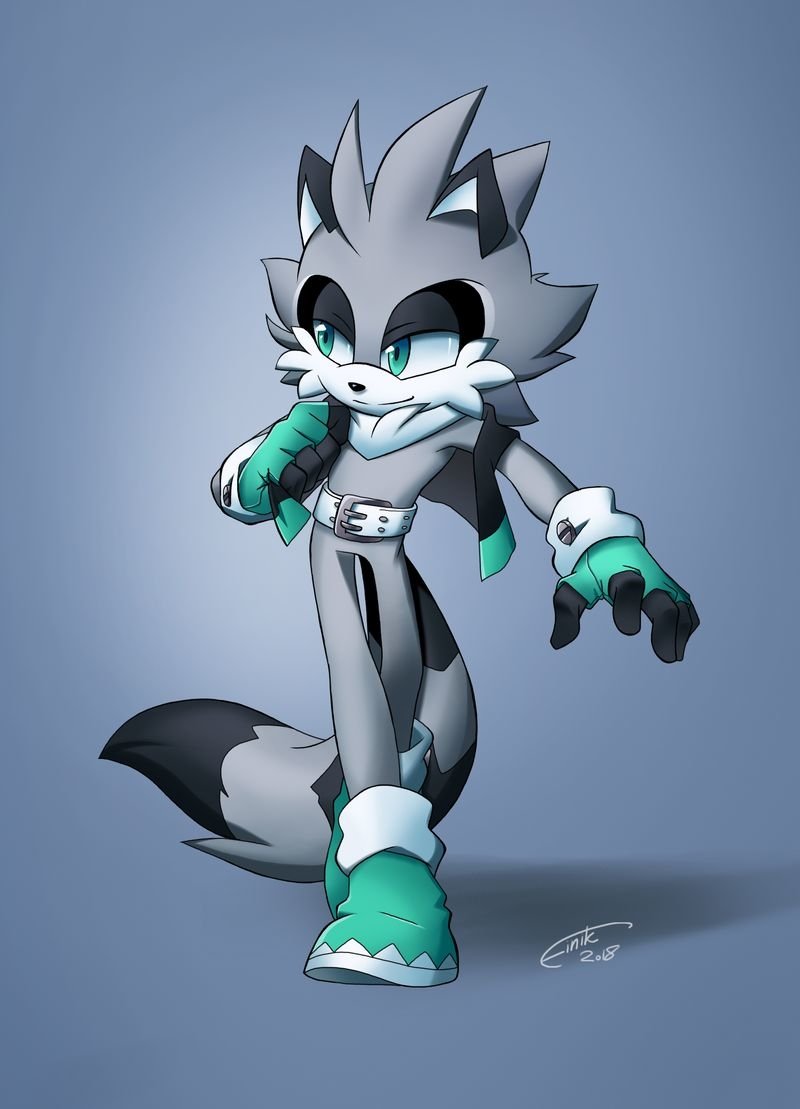 Download Belt Tail Jacket Fan Character Stripes The Raccoon Video Game Sonic The Hedgehog Art