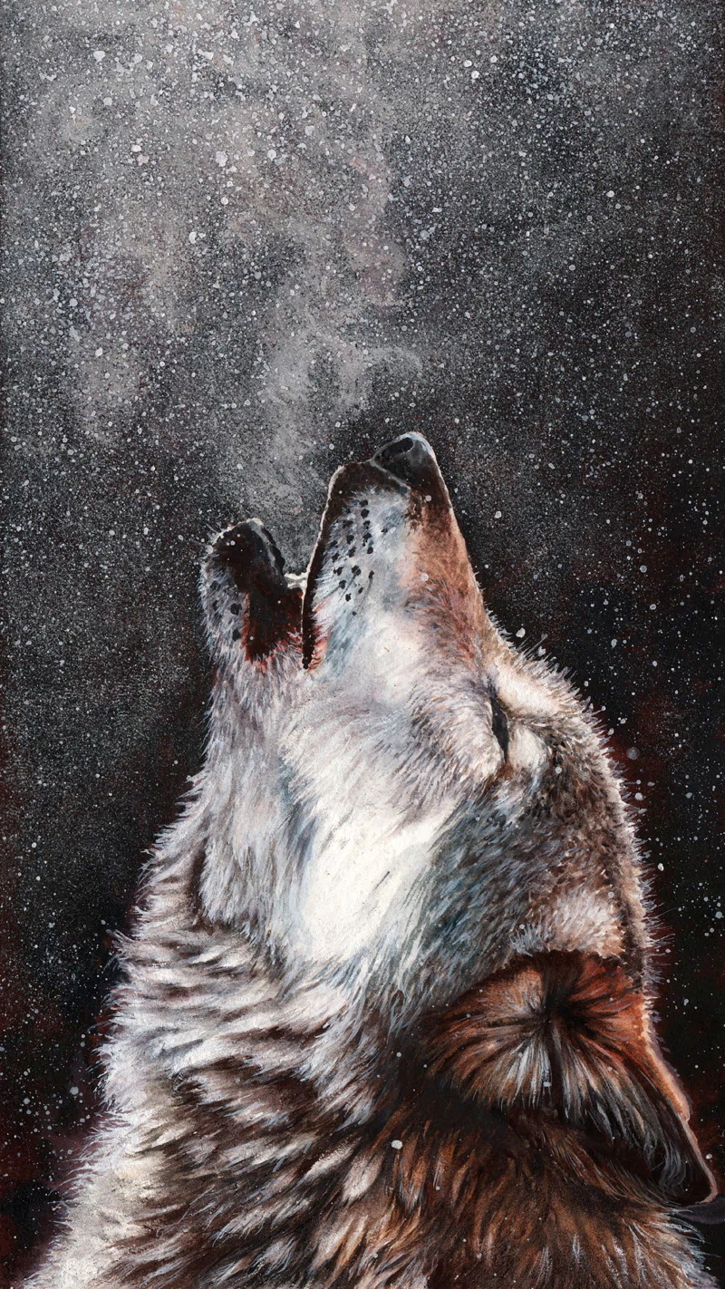  Wolf Howling on a Cold Night