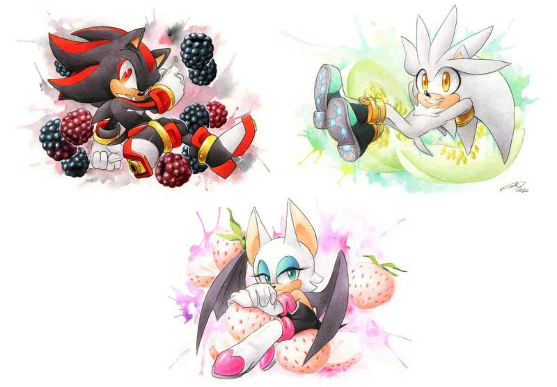 Silver the Hedgehog Shadow the Hedgehog Rouge the Bat video game Sonic the Hedgehog Image