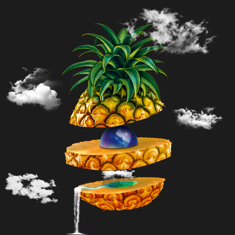 fruit food artistic Image