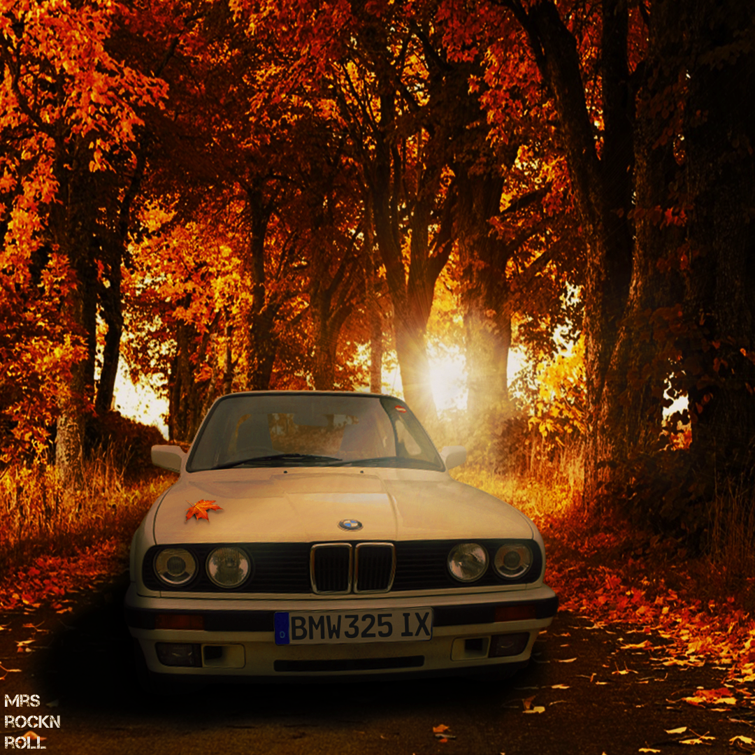 BMW 325ix by Mrs_RockNRoll