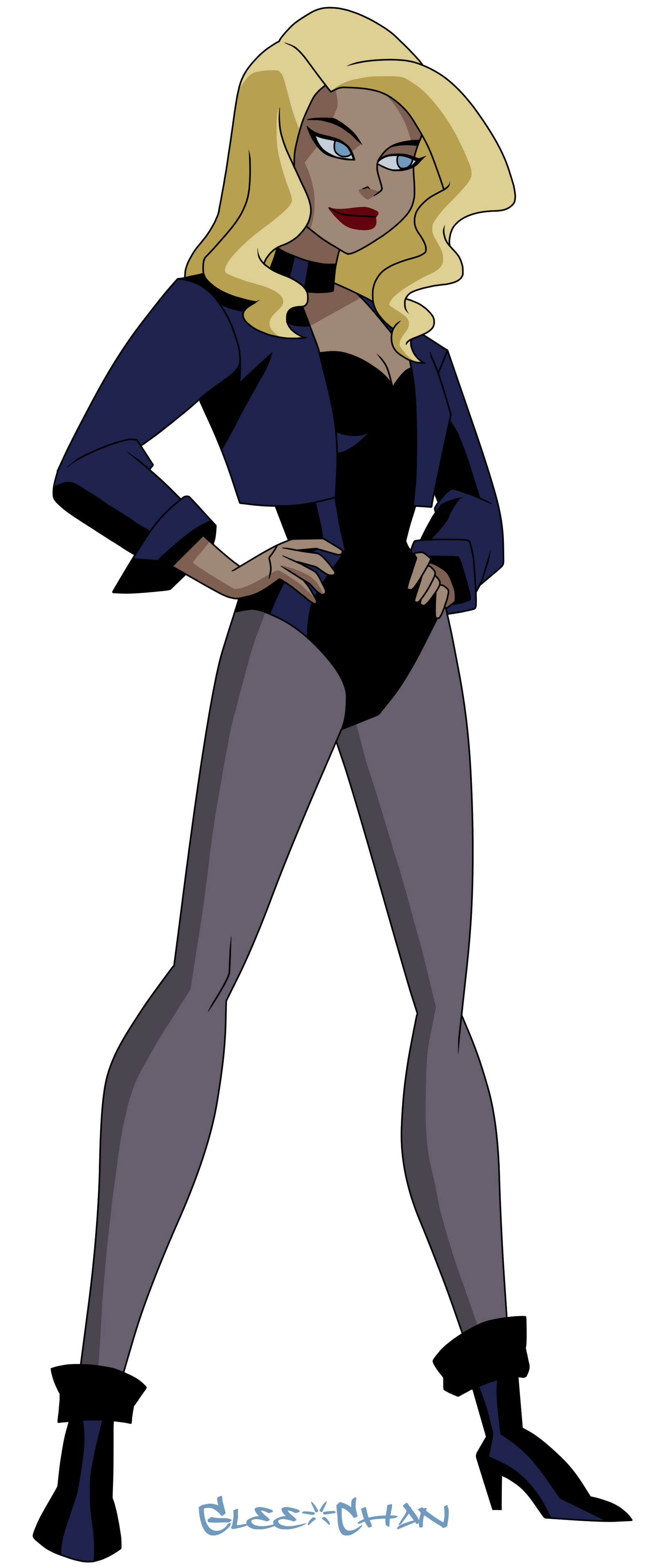 Download Blonde Dinah Lance Black Canary TV Show Justice League Unlimited Art