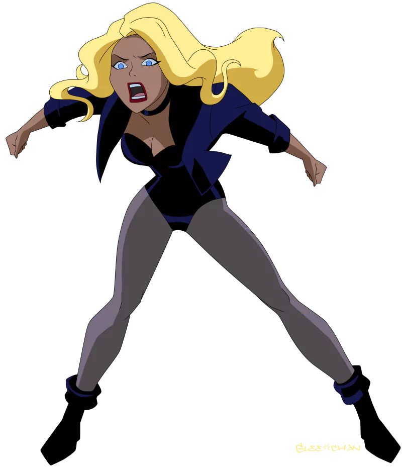 blonde Dinah Lance Black Canary TV Show Justice League Unlimited Image