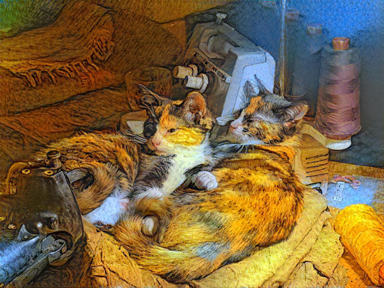Cat pic in van Gogh style by NatureWorshiper