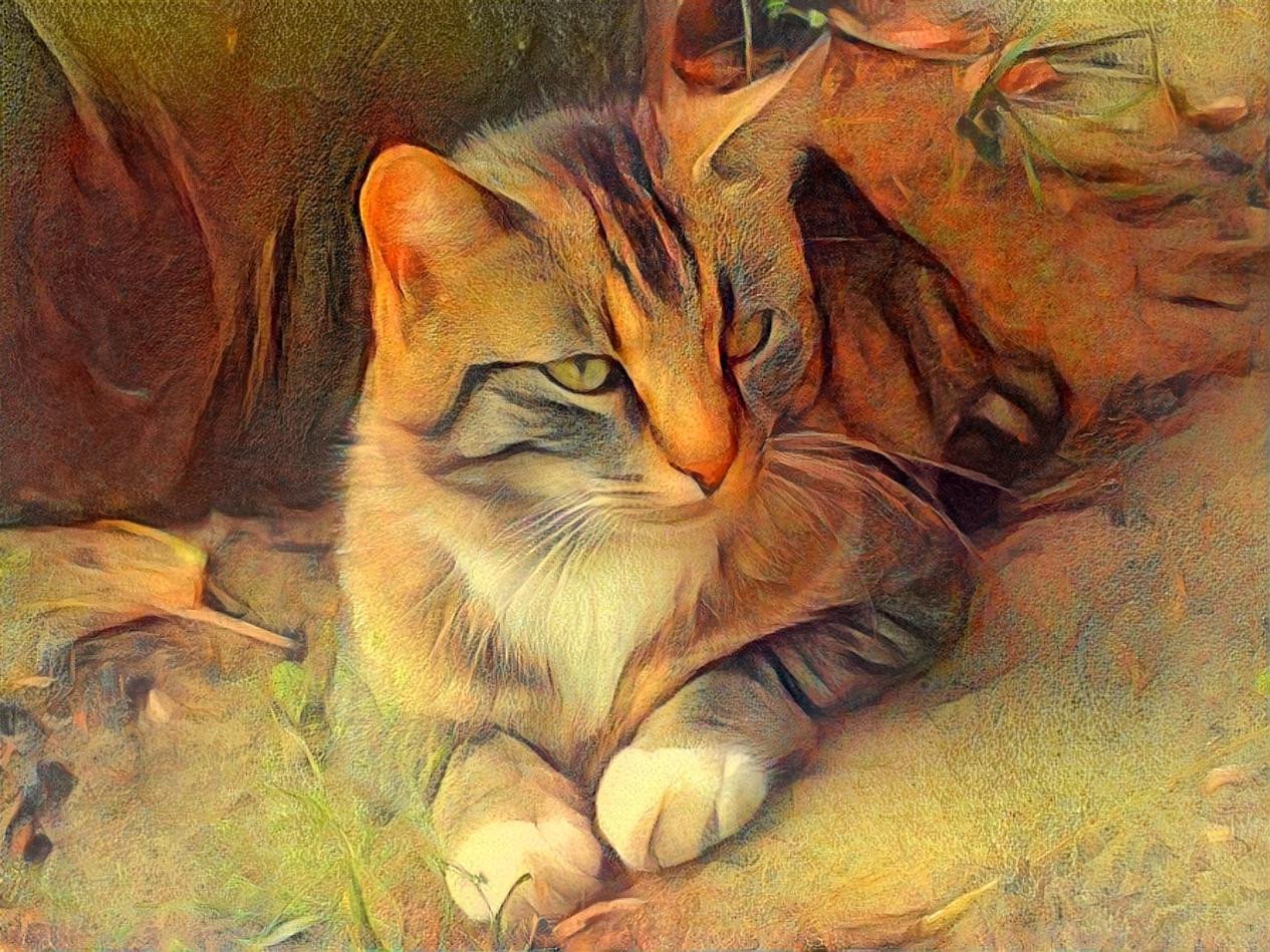 Here I combined two pics to create this artwork by NatureWorshiper