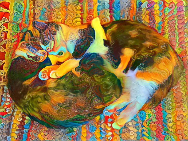  Hugging cats :)