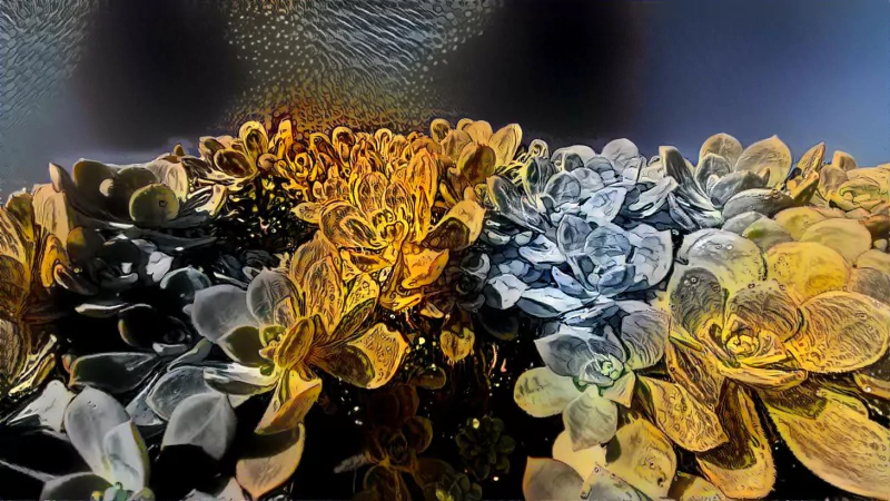  Succulent plant Art!