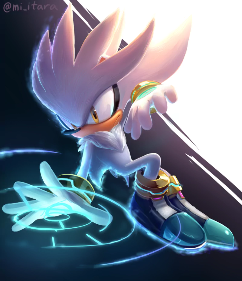 Silver the Hedgehog video game Sonic the Hedgehog Image