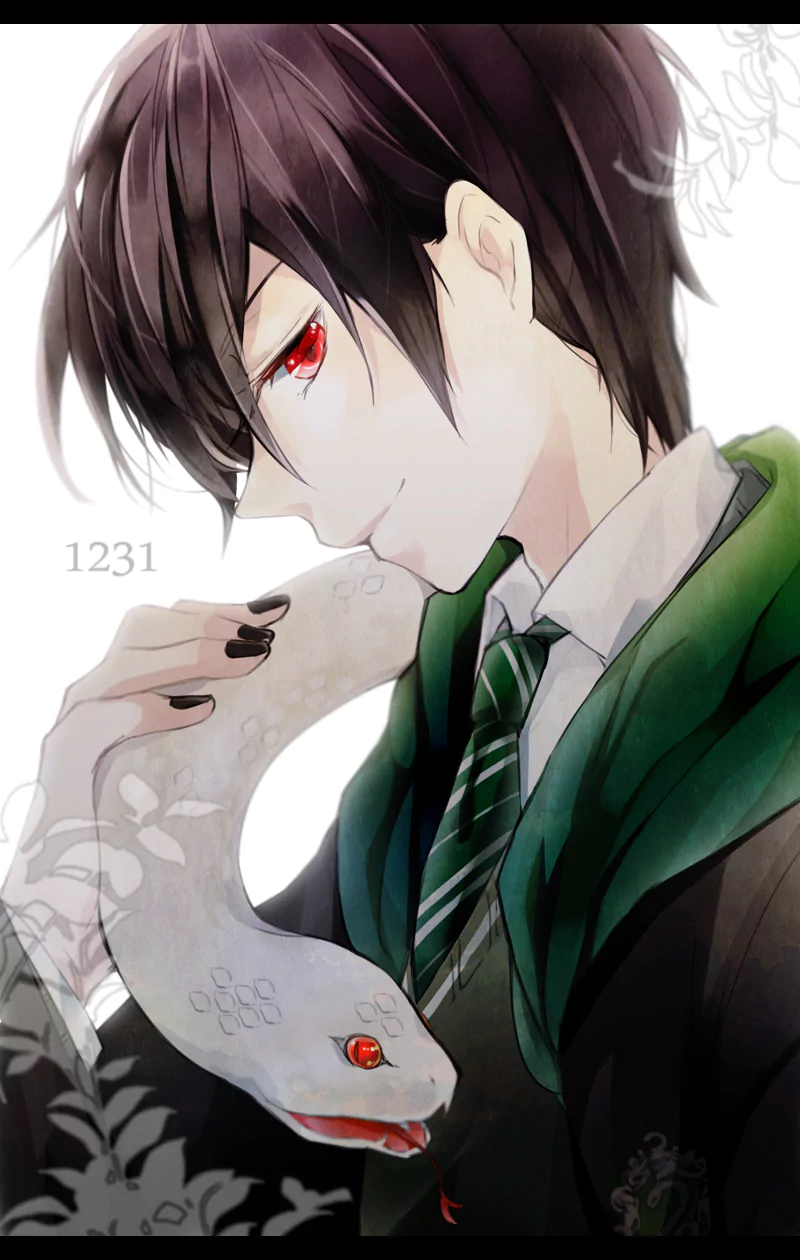 smile brown hair red eyes snake Tom Marvolo Riddle movie Harry Potter and the Chamber of Secrets Image