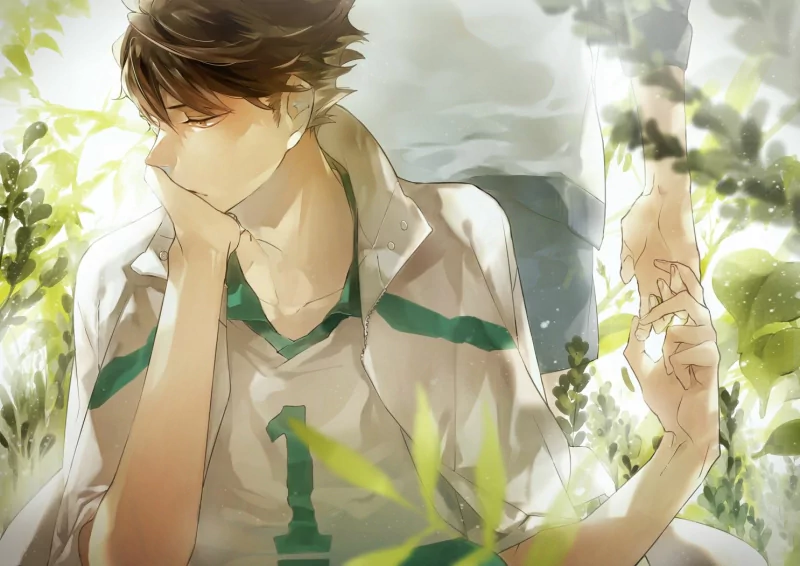 brown hair Tōru Oikawa Haikyū!! Anime Image