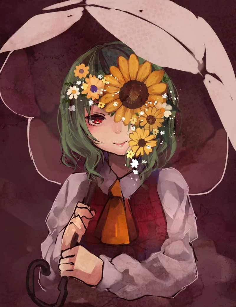 Yuuka Kazami Anime Touhou Image