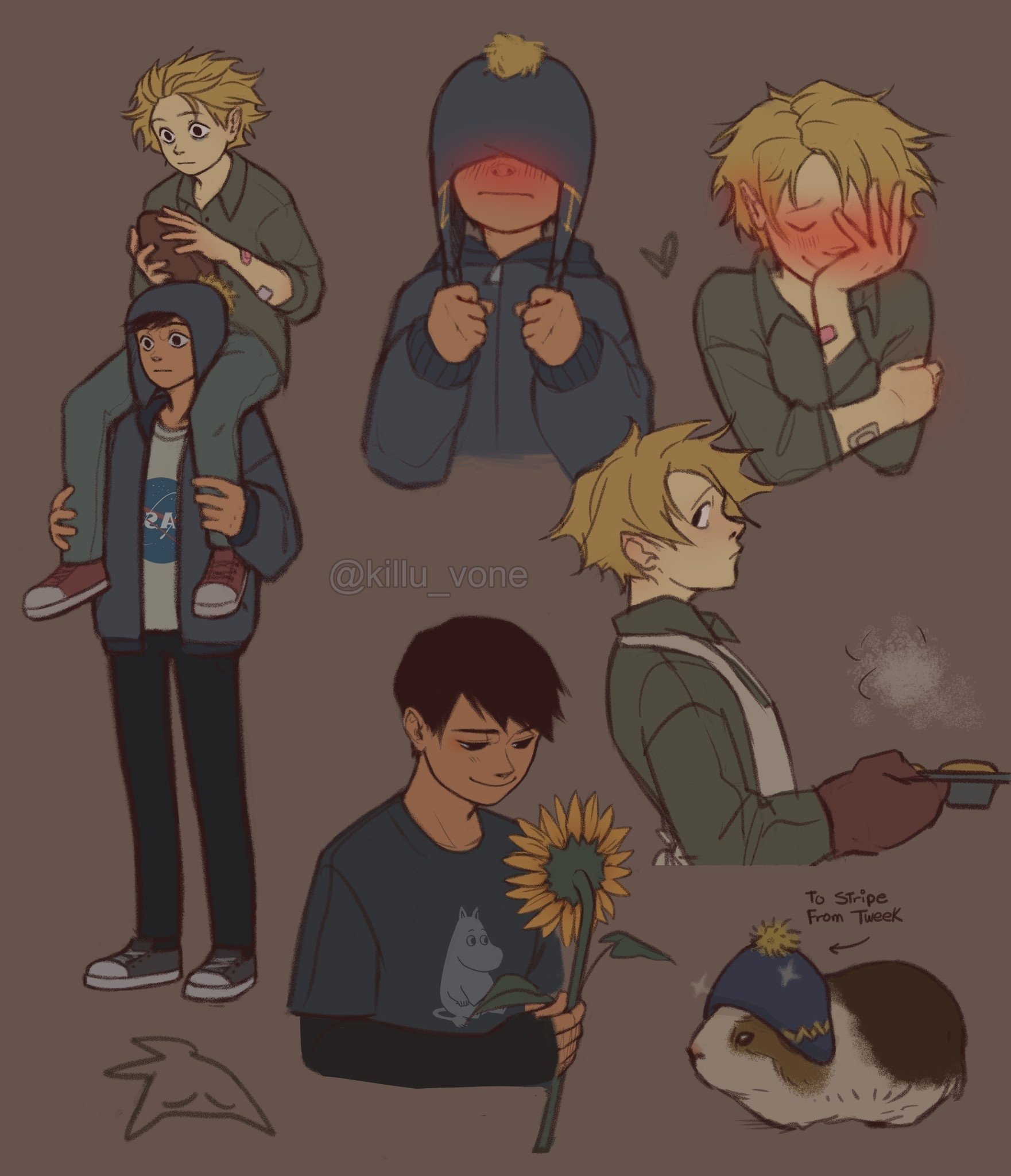 Download Blush Hat Stripe (South Park) Sunflower Craig Tucker Tweek Tweak TV Show South Park Art