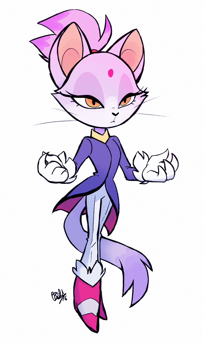 Download Blaze The Cat Video Game Sonic The Hedgehog Art