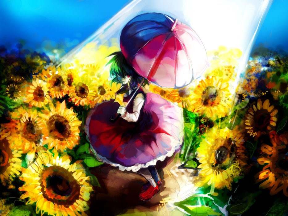 Download Yuuka Kazami Anime Touhou Art