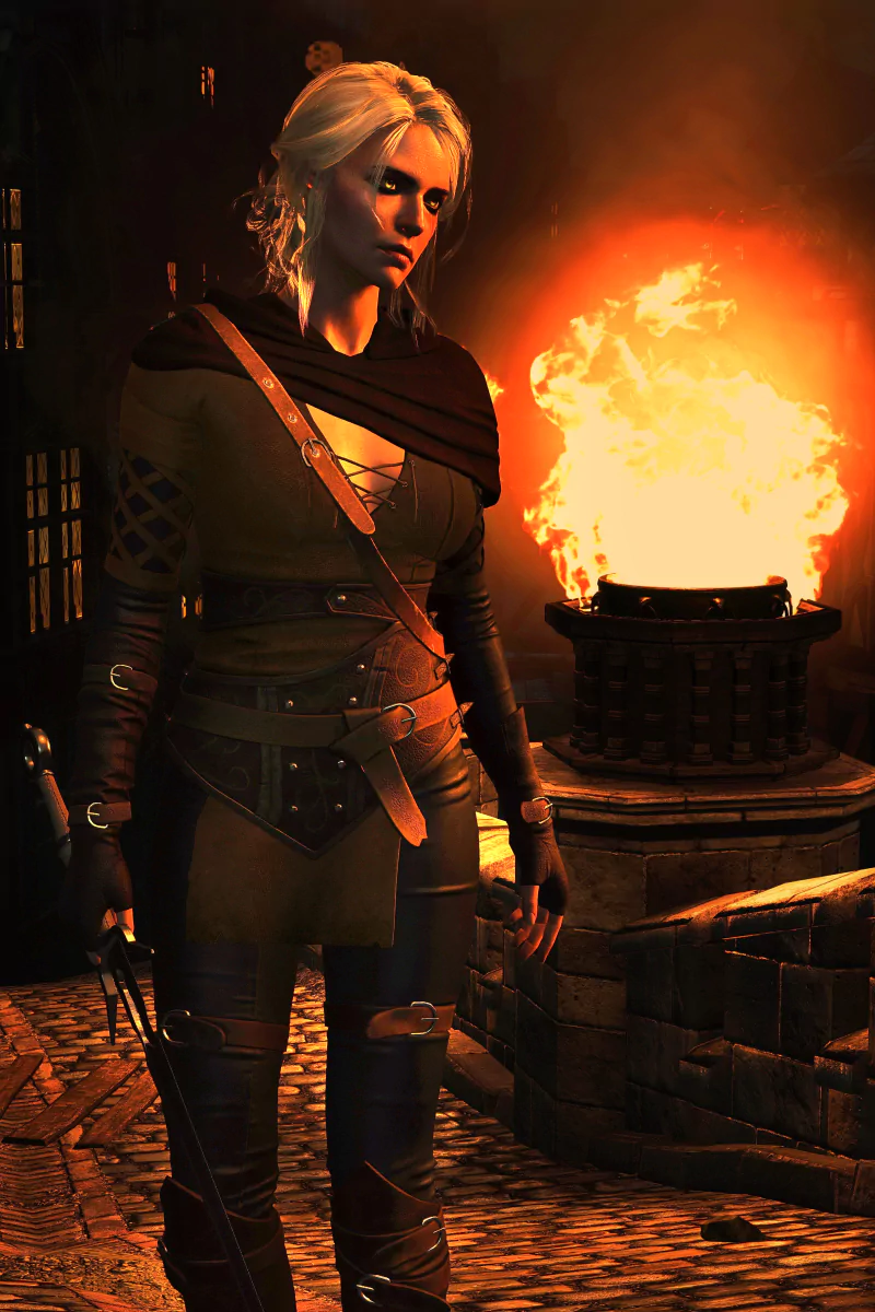 video game The Witcher 3: Wild Hunt Image