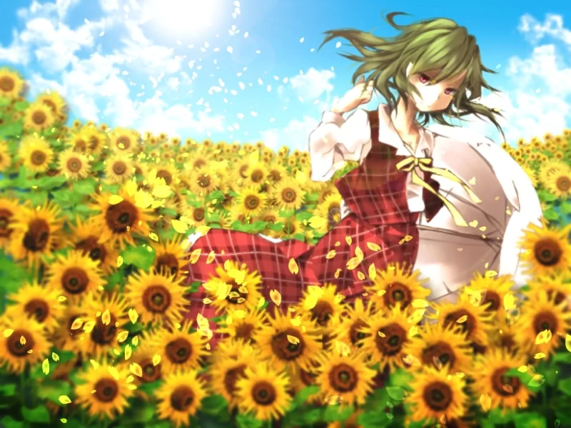 Yuuka Kazami Anime Touhou Image