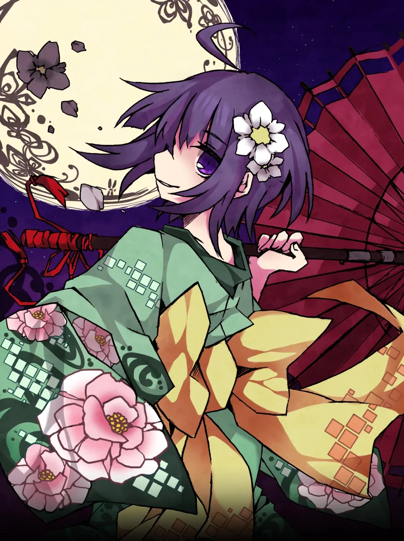 Hieda no Akyuu Anime Touhou Image