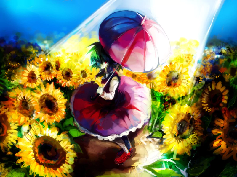 Yuuka Kazami Anime Touhou Image