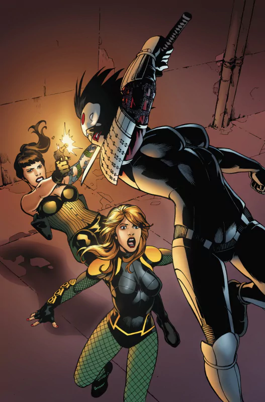 Comic Birds Of Prey Image