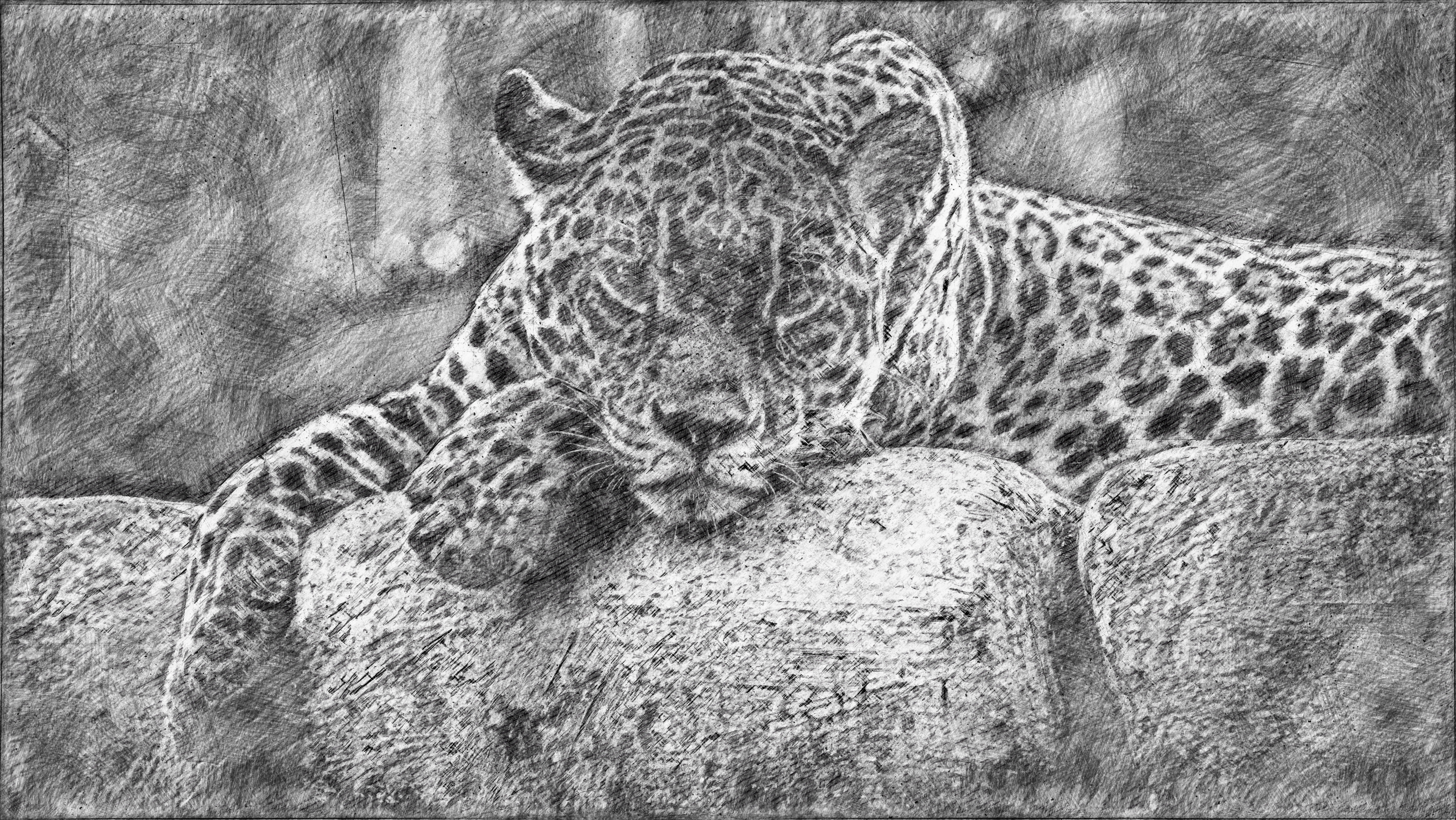 Leopard Art by Bullseye