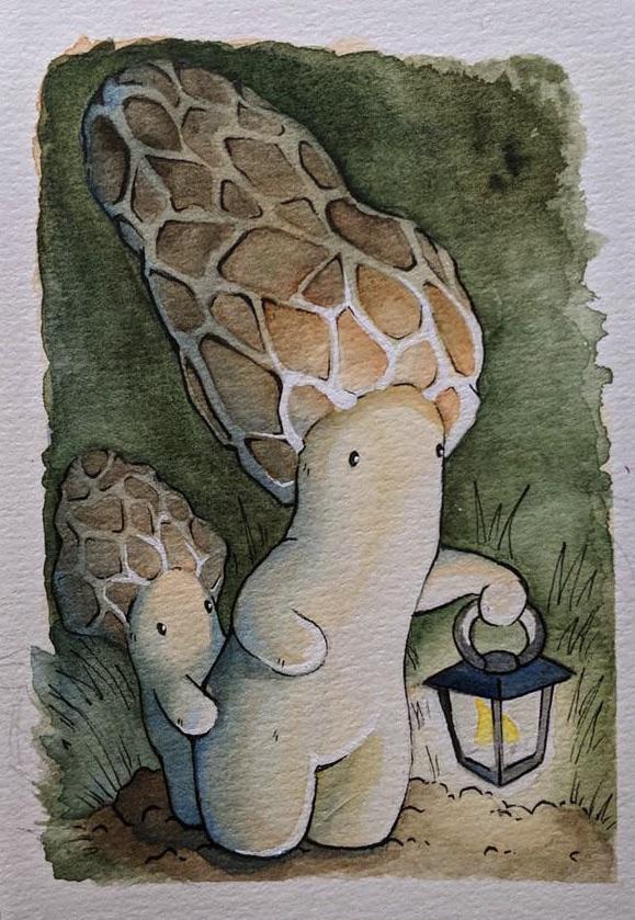 Morel by Mary Cindrich
