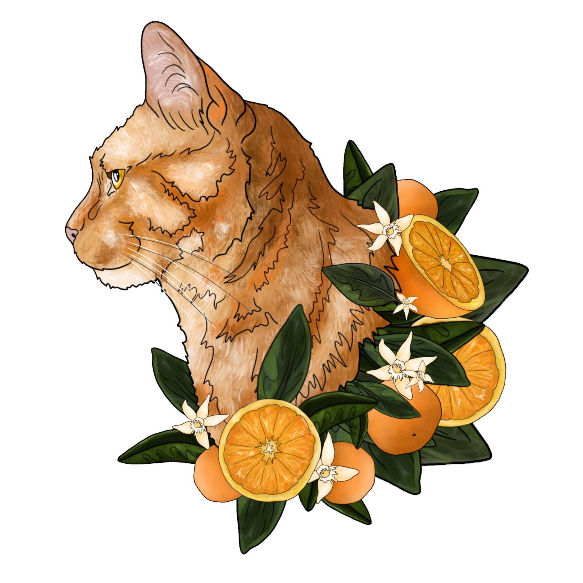 Download Animal Cat Art