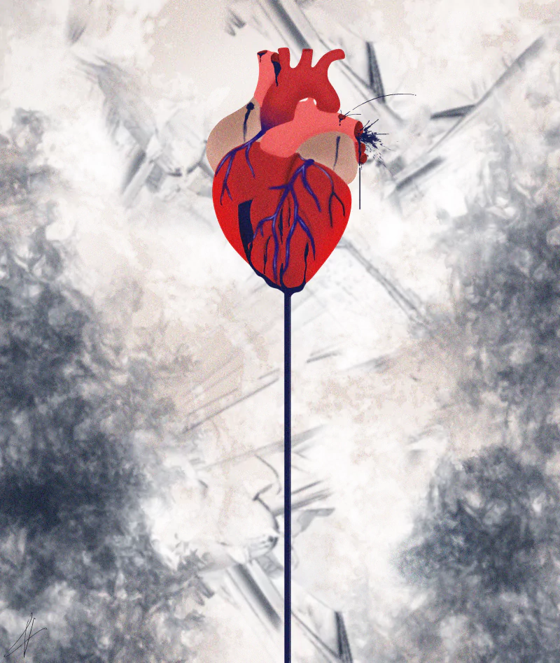  Bleading Heart
