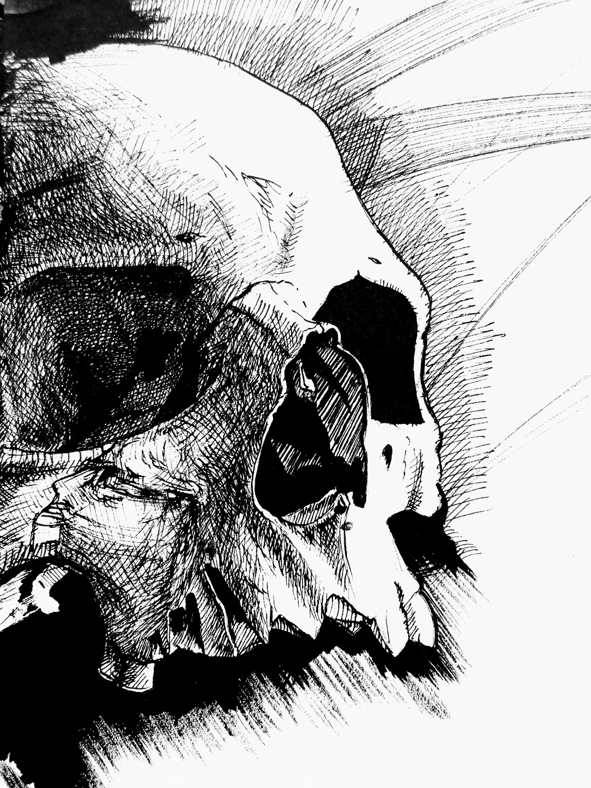Dark Skull Art