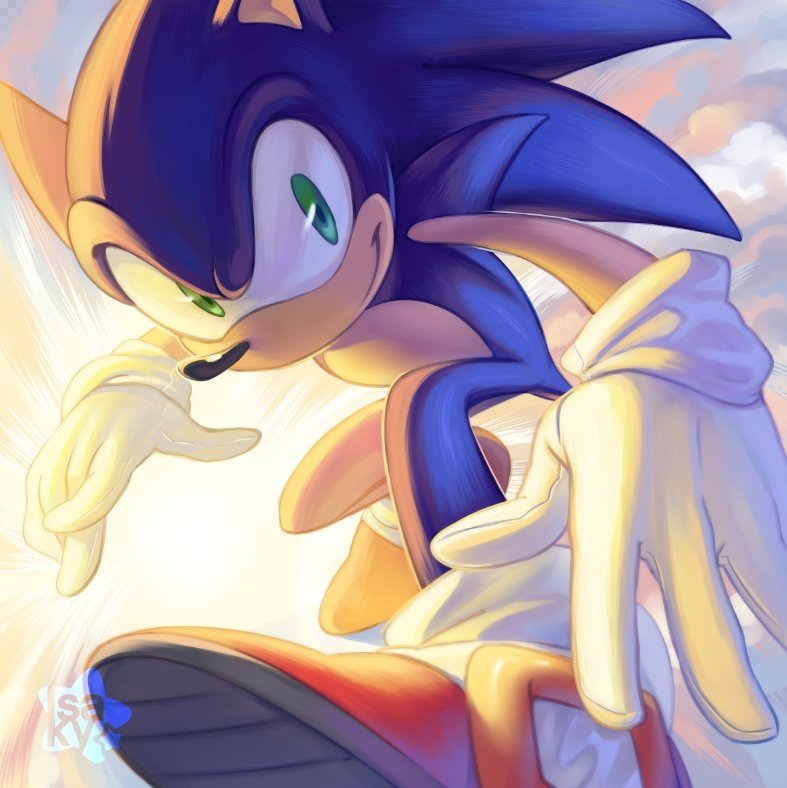 Sonic the Hedgehog from the video game series, leaping toward the viewer with gloved hands and red shoes against a glowing, sunlit sky.